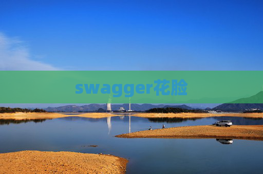 swagger花脸 swagger花脸